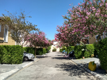 Casa em Condomínio - Venda - Jardim Califórnia - Barueri - SP